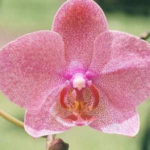 /Albums/14/993433 R3 12 12a