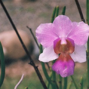 /Albums/14/993433 R3 13 13a