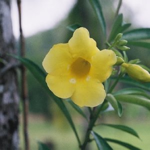 /Albums/14/993433 R3 15 15a