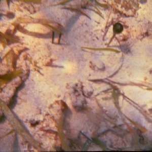 /Albums/15/Pr000010638108