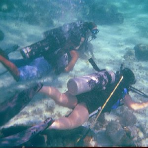 /Albums/15/Pr000010638109