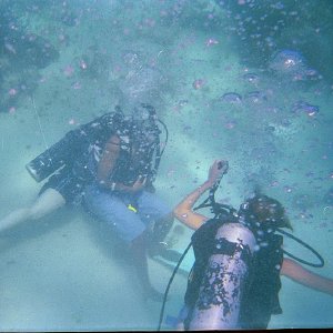 /Albums/15/Pr000010638110