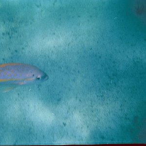 /Albums/15/Pr000010638111