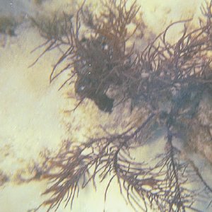 /Albums/15/Pr000010638119