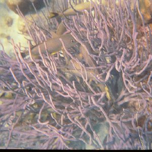 /Albums/15/Pr000010638120