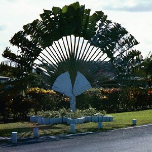 /Albums/15/Pr00001063817