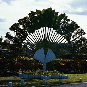 /Albums/15/Pr00001063818