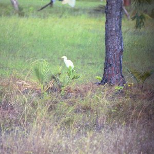 /Albums/15/Pr00001063820