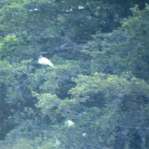 /Albums/15/Pr00001063821