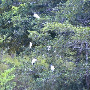 /Albums/15/Pr00001063823