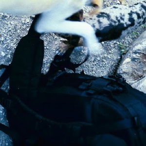 /Albums/15/Pr00001063824