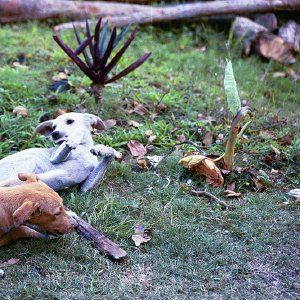 /Albums/15/Pr00001063825