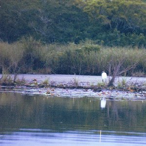 /Albums/15/Pr00001063830