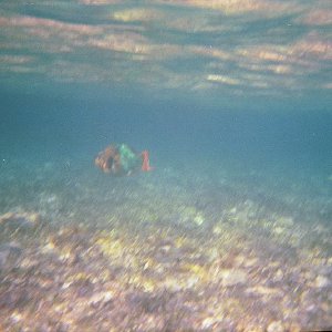 /Albums/15/Pr00001063835