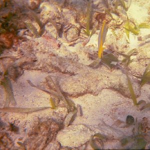 /Albums/15/Pr00001063836