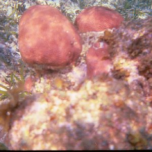 /Albums/15/Pr00001063838