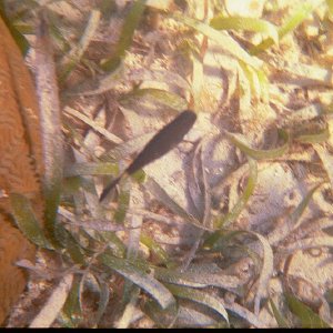 /Albums/15/Pr00001063840