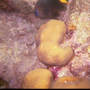 /Albums/15/Pr00001063841