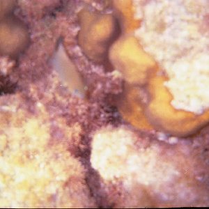 /Albums/15/Pr00001063844