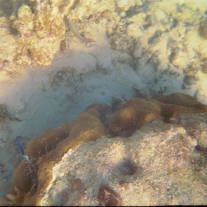 /Albums/15/Pr00001063845