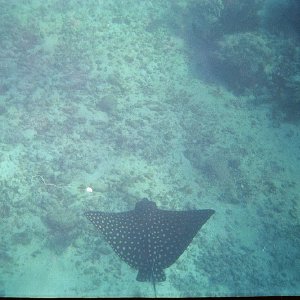 /Albums/15/Pr00001063851