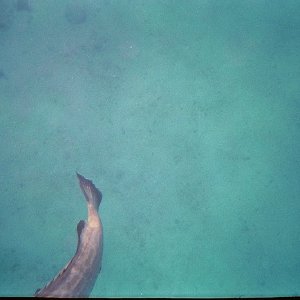 /Albums/15/Pr00001063852