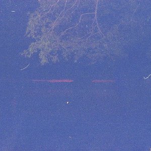 /Albums/16/Pr00001063901