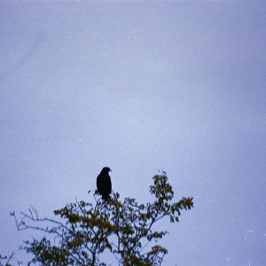 /Albums/16/Pr000010639101