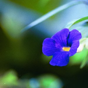 /Albums/16/Pr000010639105