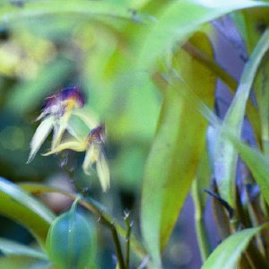 /Albums/16/Pr000010639108