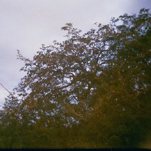 /Albums/16/Pr00001063910