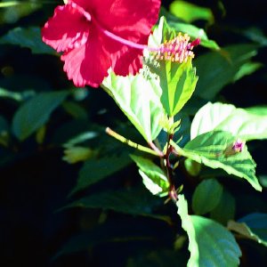 /Albums/16/Pr000010639110