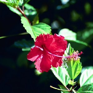 /Albums/16/Pr000010639111