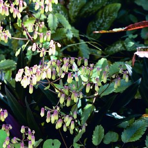 /Albums/16/Pr000010639116