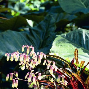 /Albums/16/Pr000010639117