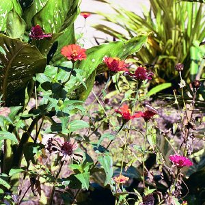 /Albums/16/Pr000010639119