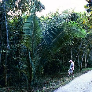 /Albums/16/Pr000010639128