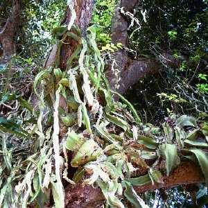 /Albums/16/Pr000010639132