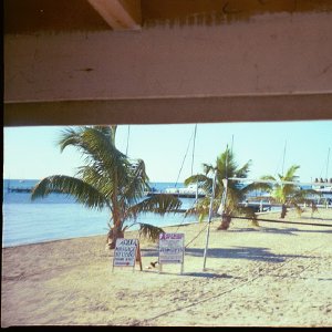 /Albums/16/Pr00001063918