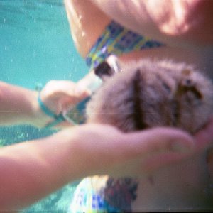 /Albums/16/Pr00001063929