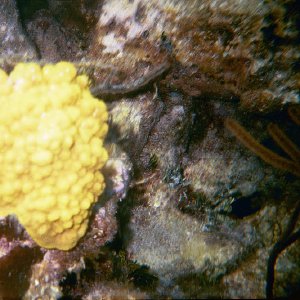 /Albums/16/Pr00001063930