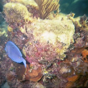 /Albums/16/Pr00001063935