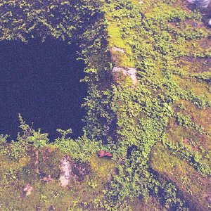 /Albums/17/Pr00001063890