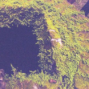 /Albums/17/Pr00001063891