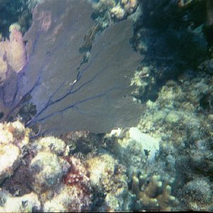 /Albums/17/Pr00001063939