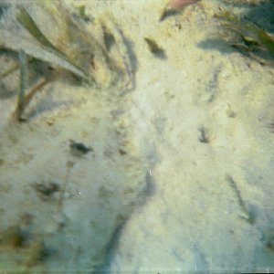 /Albums/17/Pr00001063940