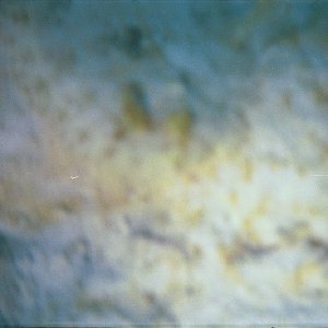 /Albums/17/Pr00001063941