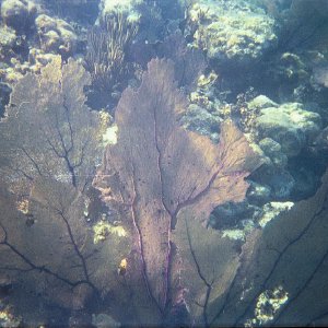 /Albums/17/Pr00001063943