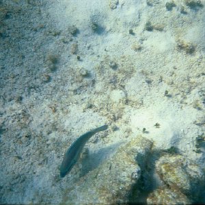 /Albums/17/Pr00001063948