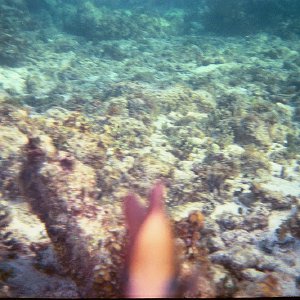 /Albums/17/Pr00001063949